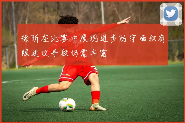 徐昕在比赛中展现进步防守面积有限进攻手段仍需丰富